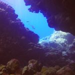 Diving Red Sea